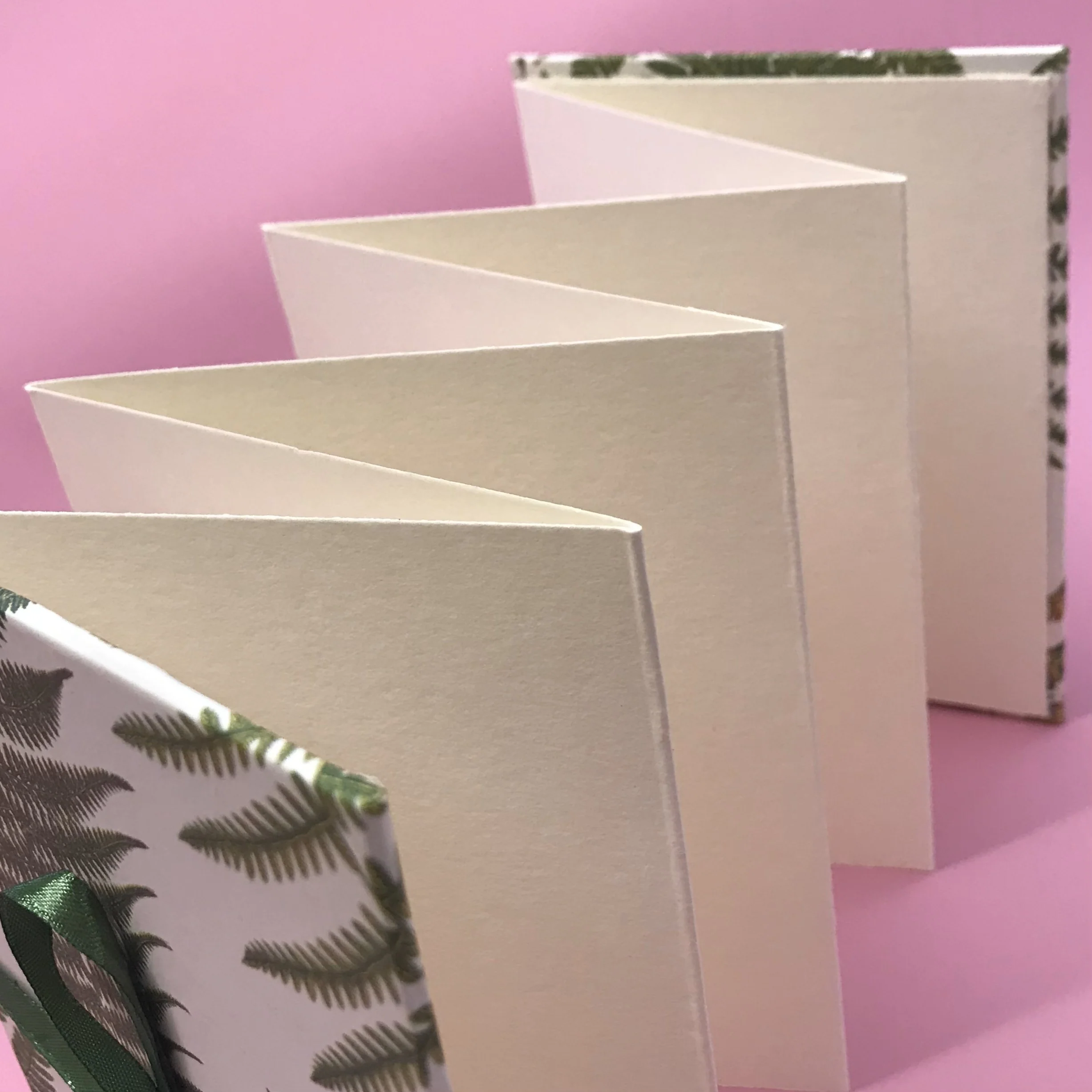 Concertina Album - Image 6